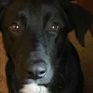 Meet your Posher, Jill